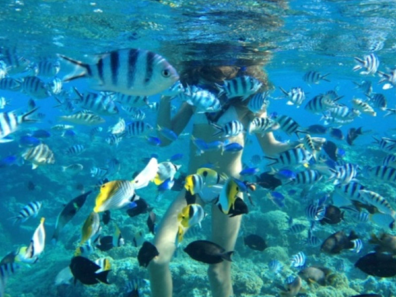 snorkeling-at-amed-or-padangbai-amed-01