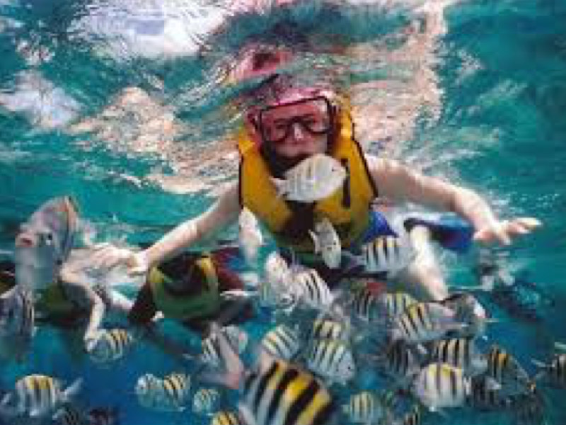 snorkeling-at-tulamben